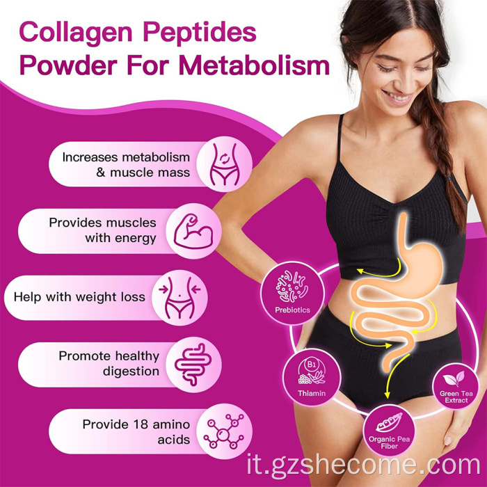 La polvere di peptidi di collagene multiplo sostiene la salute